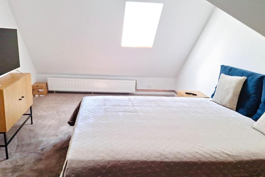 Pineview Lempes Villa Braşov Eksteriør billede