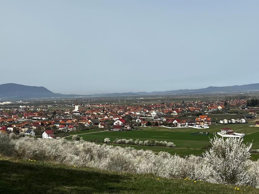 Pineview Lempes Villa Braşov Eksteriør billede